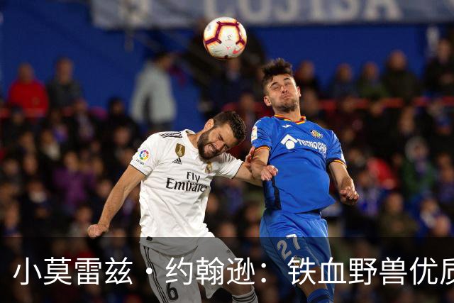 小莫雷兹·约翰逊：铁血野兽优质冠军拼图 开发三分顺位直逼乐透